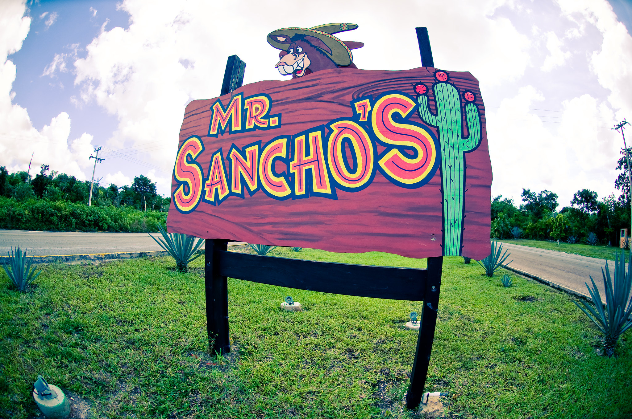 Mr Sancho's Beach Resort, Cozumel