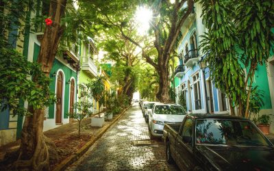 San Juan Cruise Port Terminal