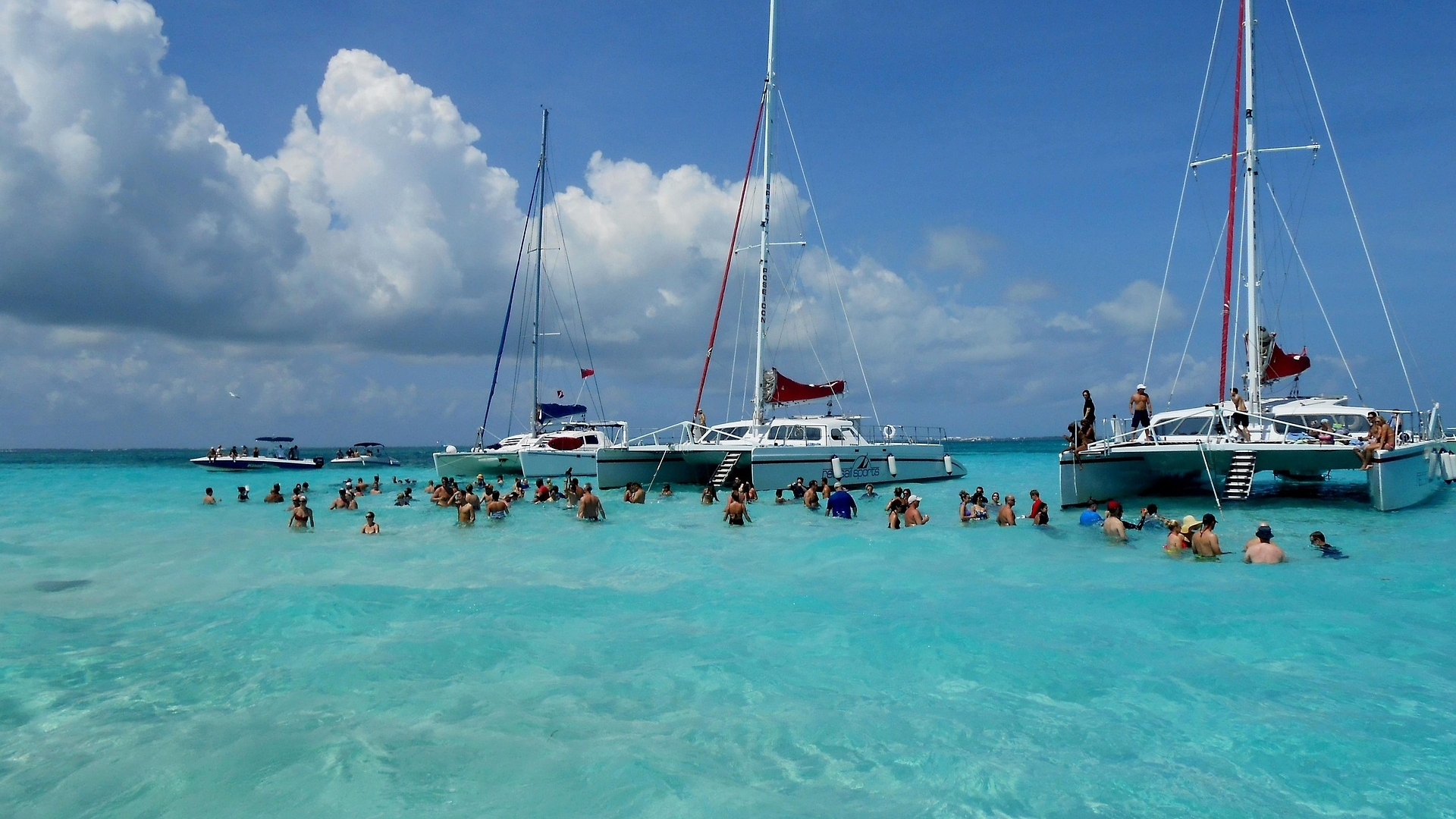 Stingray City - Grand Cayman