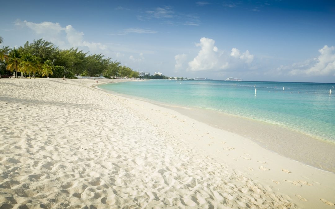 Grand Cayman Cruise Guide