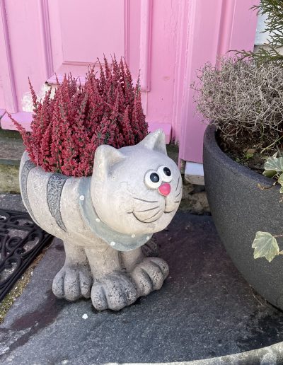 Cat-shaped planter with pink flowers outside a pink wooden house in Gamle Stavanger, Norway.