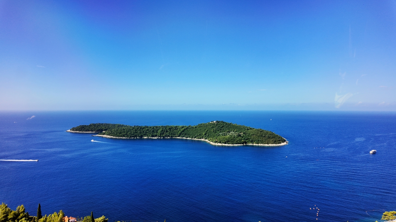 Untitled design (12)