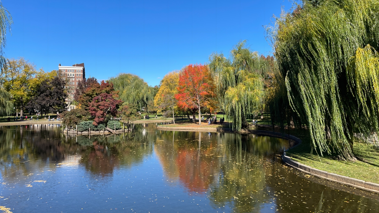 Boston Common